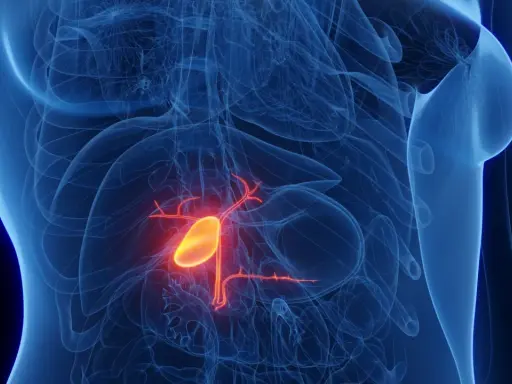 Anatomical rendering of a human torso showing the gallbladder highlighted in yellow and red, indicating potential rak pęcherzyka żółciowego.