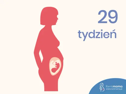 Ilustracja pokazuje sylwetkę kobiety w ciąży, z widocznym płodem w brzuchu. Obok widnieje napis "29 tydzień ciąży".