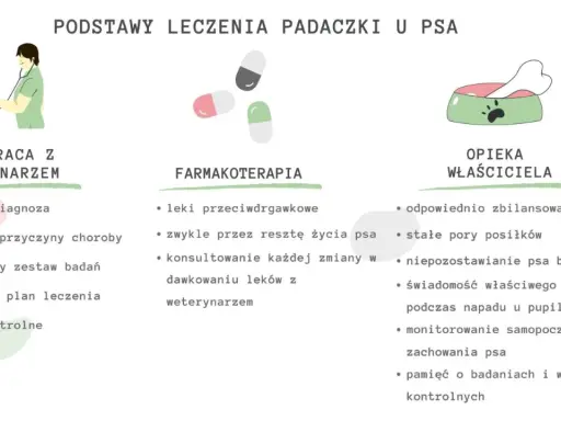 Leczenie padaczki u psa: współpraca z weterynarzem, farmakoterapia i opieka właściciela. Uśpienie psa z padaczką to ostateczność.