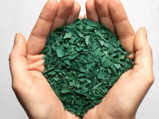 Mains tenant une poignée de paillettes vertes, résultat d'une spiruline culture.