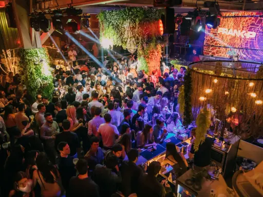 Menschen tanzen und feiern in einem belebten Club in Lissabon. Grüne Pflanzen und Lichter schaffen eine lebendige Atmosphäre.