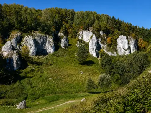 Skały wapienne w Dolinie Kobylańskiej, porośnięte zielenią i drzewami, pod błękitnym niebem.
