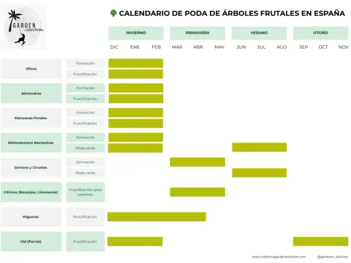 Calendario de poda de árboles frutales en España: cuándo se podan olivos, almendros, manzanos, cítricos y más.