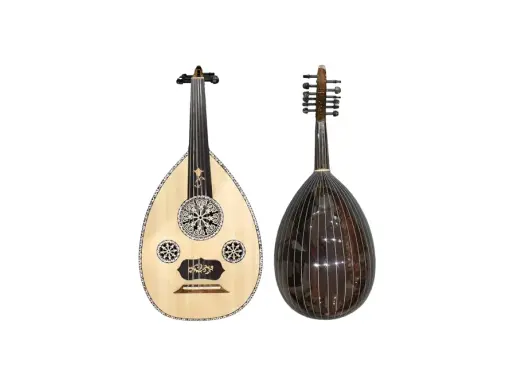 Deux oud, instruments de musique à cordes, l'un clair et décoré, l'autre sombre et strié.
