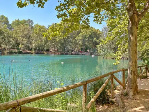 La albufera de Anna, con su agua turquesa y rodeada de árboles frondosos, invita a un paseo tranquilo. Patos nadan en la superficie.