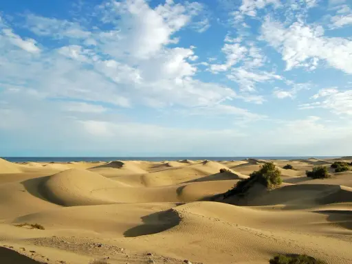 Paisaje de dunas doradas en España, con el mar azul al fondo y un cielo despejado con nubes blancas.