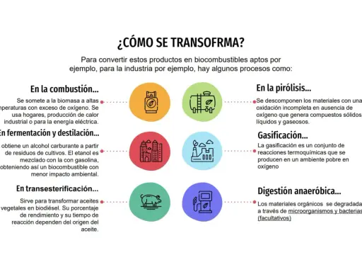 Ilustración de varios tipos de biomasa y sus procesos de transformación: combustión, fermentación, pirólisis, gasificación y digestión anaeróbica.