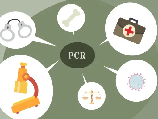 Diagrama sobre PCR en medicina: microscopio, hueso, botiquín, virus, balanza y esposas.