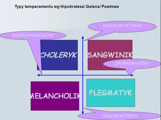 4 typy osobowości: Poznaj swój temperament i zbuduj lepsze relacje