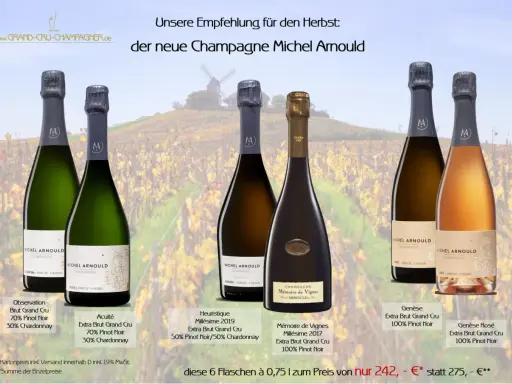 Sechs Flaschen Champagner Michel Arnould im Angebot. Was kostet eine Flasche Champagner? Hier nur 242€ statt 275€.