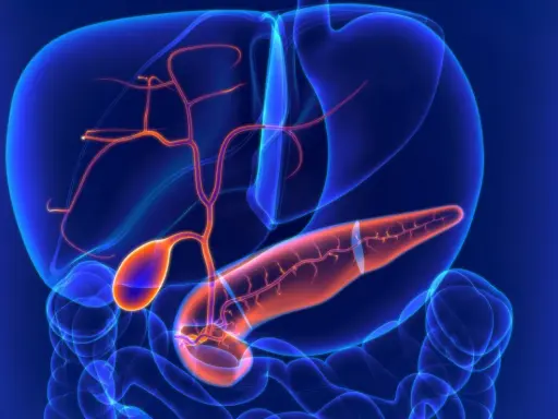 Anatomia jamy brzusznej z widoczną trzustką, wątrobą i pęcherzykiem żółciowym. Widać naczynia krwionośne. Może to być wizualizacja torbieli na trzustce.