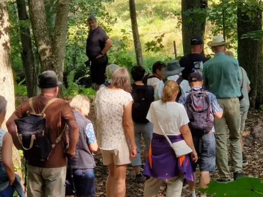 En grupp människor njuter av vandringens dag i en lummig skog.