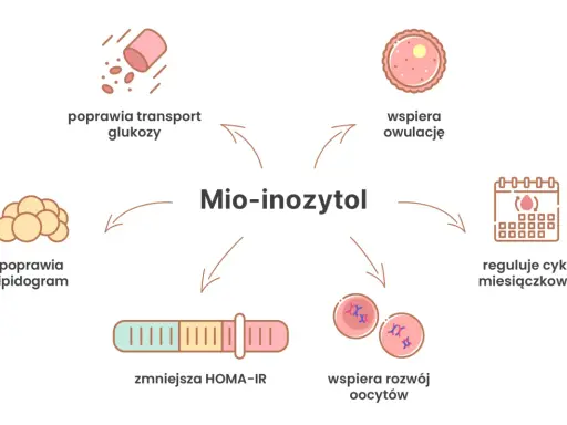 Mio-inozytol: kiedy brać? Wspiera owulację, reguluje cykl, poprawia transport glukozy, lipidogram, zmniejsza HOMA-IR i rozwój oocytów.