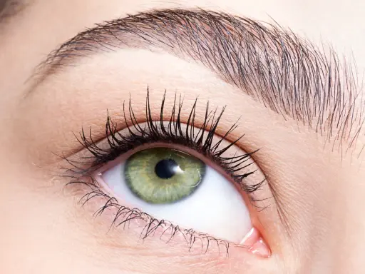 Œil vert aux cils longs, sourcil parfaitement dessiné après une épilation sourcil cire.