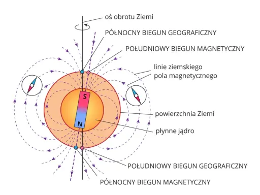 Ilustracja pokazuje, jak działa kompas: igła magnetyczna ustawia się wzdłuż linii pola magnetycznego Ziemi, wskazując biegun północny.