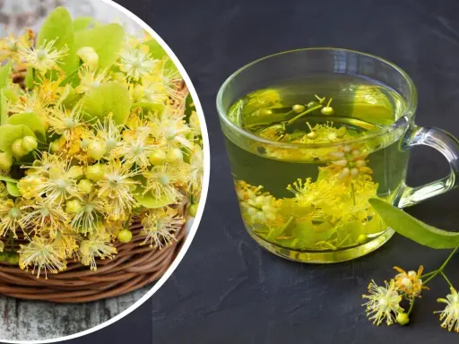 Koszyk pełen kwiatów lipy obok szklanki aromatycznej herbaty z lipy.