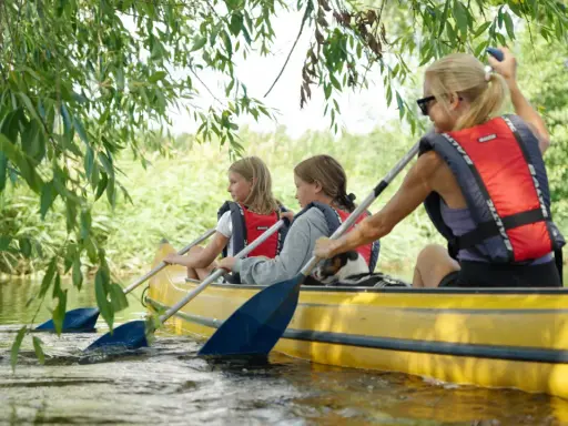 En familj njuter av att paddla kanot på en lugn vattendrag, kanske på Gotland.