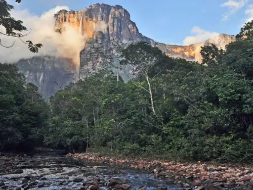Ein Fluss schlängelt sich durch üppigen Dschungel zum Fuß des Salto Ángel, dem höchsten Wasserfall der Welt, der von Wolken umhüllt ist.