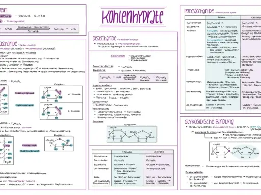 Kohlenhydrate: Monosaccharide wie Glucose und Fructose sind einfache Zucker. Diese Saccharide sind Bausteine für komplexere Kohlenhydrate.