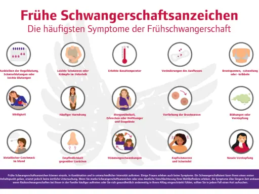 Frühe Schwangerschaftssymptome ab wann? Die Grafik zeigt häufige Anzeichen wie ausbleibende Periode, Müdigkeit, Übelkeit, Brustveränderungen und Stimmungsschwankungen.
