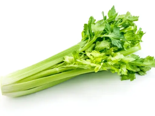 A fresh, vibrant celery plant with crisp green stalks and leafy tops, ready for a healthy snack or recipe.