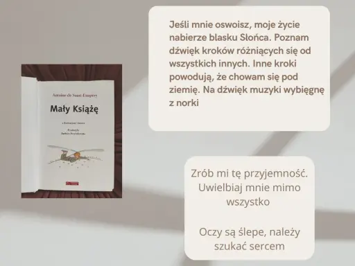 Okładka książki "Mały Książę" z cytatami z powieści.
