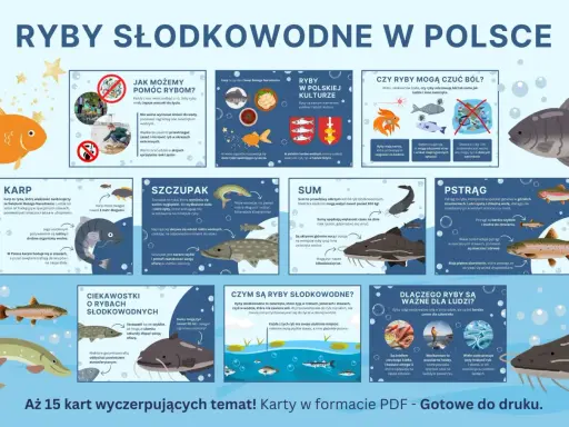 Karp, szczupak, sum i pstrąg – poznaj co to za ryba i ciekawostki o rybach słodkowodnych w Polsce.