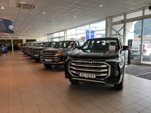 Nowe samochody Maxus w salonie. Zastanawiasz się, ile czasu na zapłacenie akcyzy od sprowadzonego samochodu? Sprawdź przepisy!