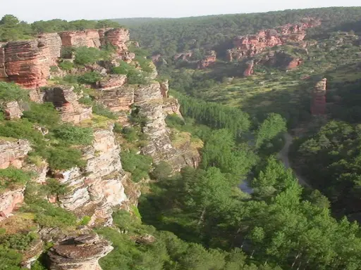 Impresionante cañón con formaciones rocosas rojizas y vegetación frondosa, típico de las áreas protegidas de Castilla-La Mancha.