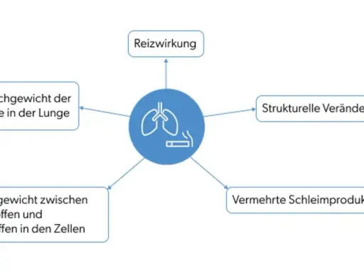 Diagramm zeigt, wie Rauchen bei COPD zu Reizungen, Ungleichgewichten und strukturellen Lungenveränderungen führt.