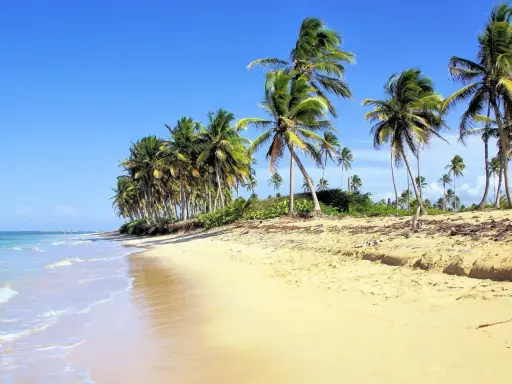 Playa paradisíaca en República Dominicana con niños jugando entre palmeras.