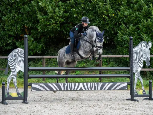 Ein Reiterpaar überwindet mit einem grauen Pferd eine Hindernis-Kombination mit Zebra-Motiven.