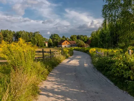 Szeroka droga gminna wewnętrzna prowadzi do gospodarstwa wśród zieleni i kwitnących żółtych kwiatów.