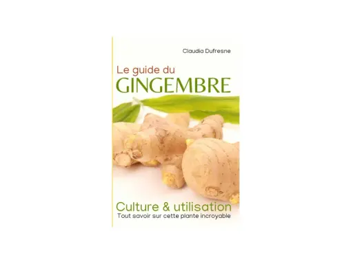 Le guide du gingembre : comment faire pousser du gingembre, sa culture et son utilisation. Des rhizomes frais et des feuilles vertes sur la couverture.
