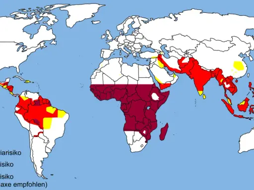 Världskarta som visar malaria utbredning. Rött indikerar högt riskområde, mörkrött högt riskområde med rekommenderad kemoprofylax. Gult visar låg risk.