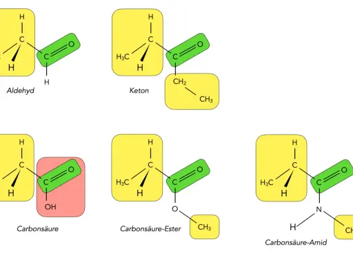 Chemische Strukturen: Aldehyd, Keton, Carbonsäure, Ester und Amid. Die zentrale Carbonylgruppe ist in verschiedenen Molekülen hervorgehoben.