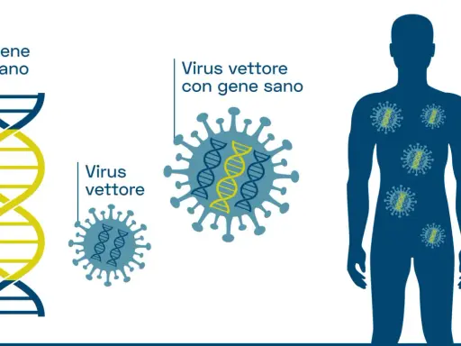Illustrazione del processo di terapia genica: un gene sano viene inserito in un virus vettore, che poi entra in un corpo umano per correggere difetti genetici.
