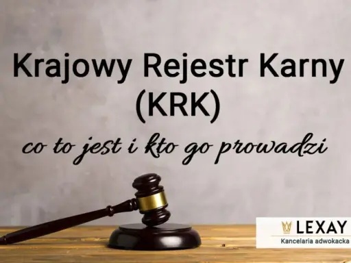 KRK: Kto trafia do rejestru karnego? Nie tylko skazani!