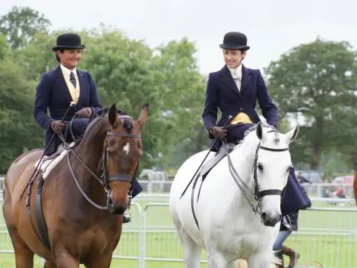 Zwei Reiterinnen im Damensattel, elegant gekleidet, reiten auf braunen und weißen Pferden.