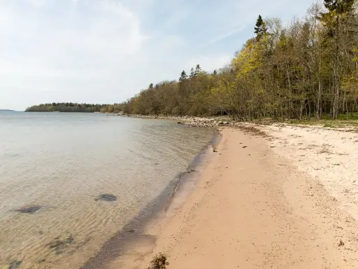 En sandstrand vid Riddersholms naturreservat med klart vatten och en lummig skogskant.