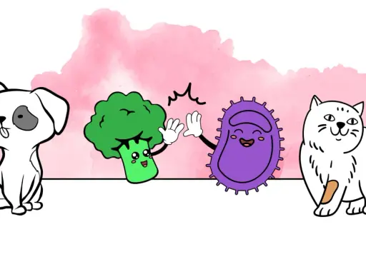 Un chien, un brocoli et une bactérie s'amusent. Peut-on donner des probiotiques humains à un chien ?