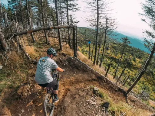 Rowerzysta zjeżdża po wyboistej ścieżce, odkrywając malownicze **bielsko biała trasy rowerowe**. Widok na góry zapiera dech w piersiach.