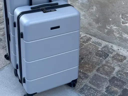 Två grå resväskor, perfekta som lufthansa handbagage, står på en kullerstensbelagd trottoar.