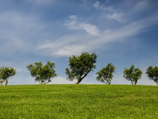 Sześć zielonych drzew na tle błękitnego nieba z chmurami. Te drzewa po angielsku, zwane "trees", tworzą malowniczy krajobraz na wzgórzu.
