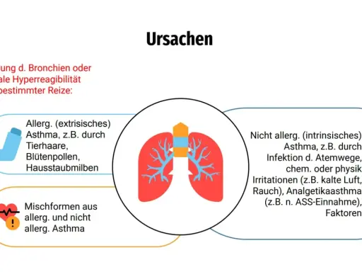 Ursachen von Asthma: Allergisches Asthma durch Reize wie Tierhaare, Pollen, Hausstaubmilben. Nicht-allergisches Asthma durch Infektionen, Kälte, Rauch oder Medikamente. Mischformen sind ebenfalls möglich.