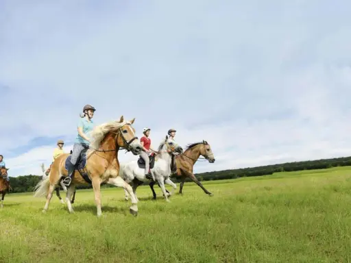 Vier Reiter genießen das trail reiten auf ihren Pferden über eine grüne Wiese unter blauem Himmel.
