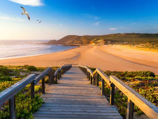 Holzsteg führt zu einem goldenen Strand in Aljezur, Portugal. Möwen kreisen über dem Meer unter blauem Himmel.