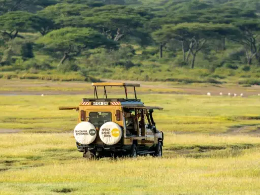Gul safari-jeep kör genom savannen. För att skydda sig mot malaria, malariaprofylax är viktigt för resenärer.