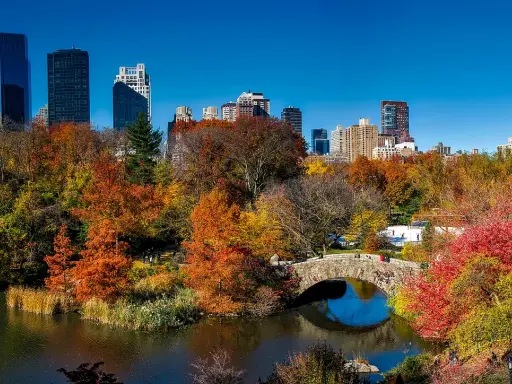 Central Park Attraktionen: Ihr Guide für New Yorks grüne Lunge