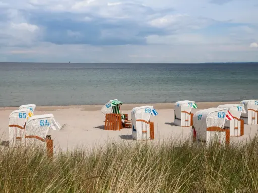 Plaża z koszami plażowymi, jakby to były luksusowe hotele w pałacach nad morzem.